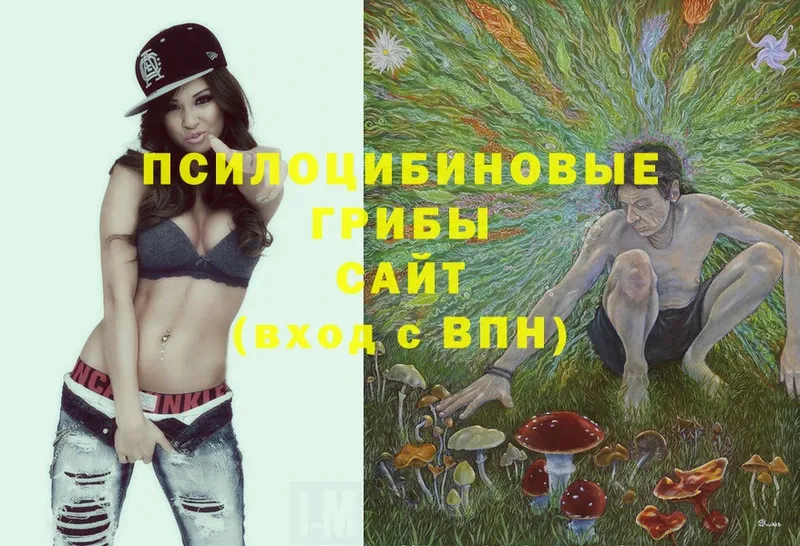 купить наркотики сайты  Оханск  Галлюциногенные грибы MAGIC MUSHROOMS 